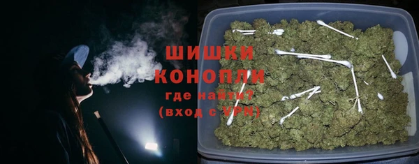 сатива Балахна