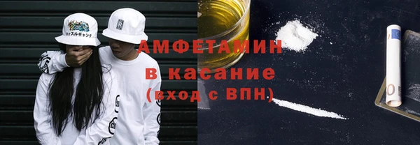 сатива Балахна