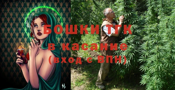 сатива Балахна